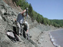 Fossil digging in 2005